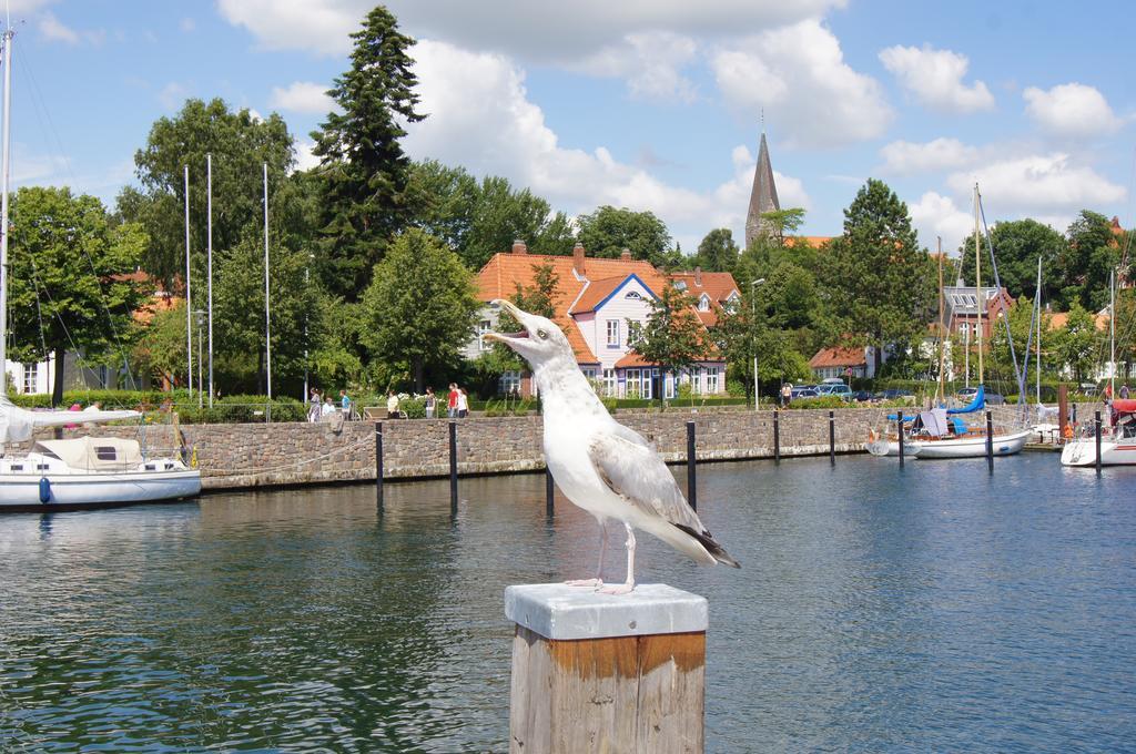 Ostsee Ferienhaeuser Waabs Camera foto